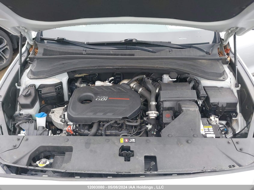 2019 Hyundai Santa Fe Luxury VIN: 5NMS3CAA7KH027868 Lot: 12003080