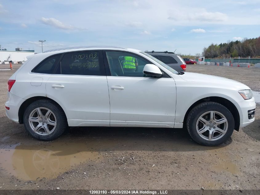 2010 Audi Q5 VIN: WA1LKCFP6AA085235 Lot: 12003193