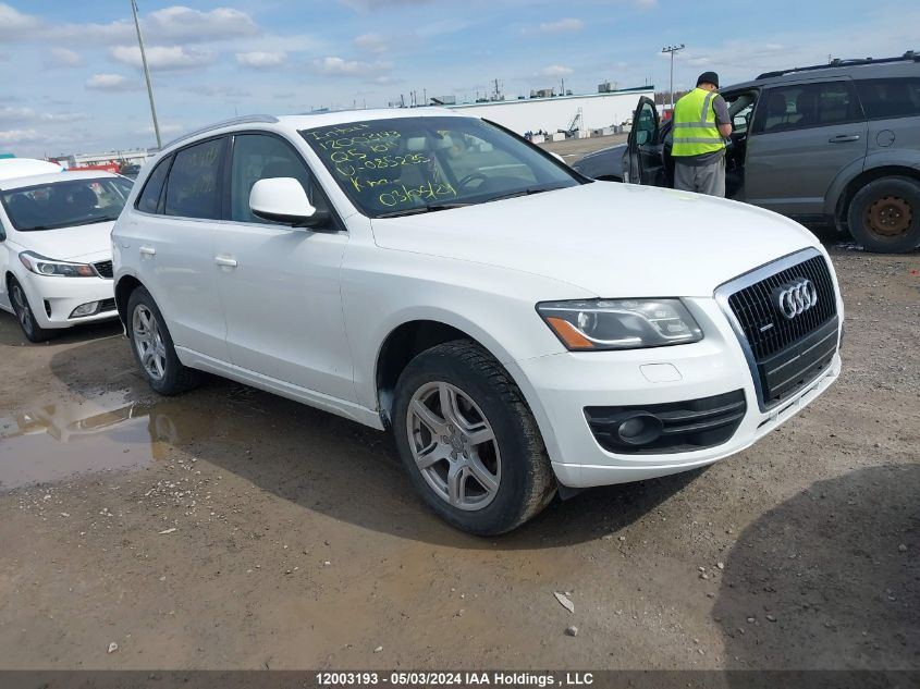 2010 Audi Q5 VIN: WA1LKCFP6AA085235 Lot: 12003193