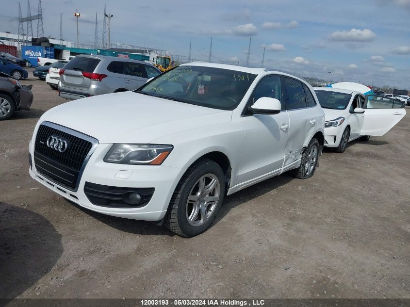 2010 Audi Q5 VIN: WA1LKCFP6AA085235 Lot: 12003193