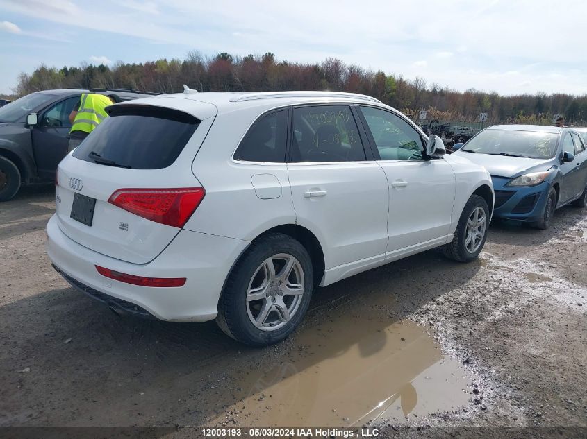 2010 Audi Q5 VIN: WA1LKCFP6AA085235 Lot: 12003193