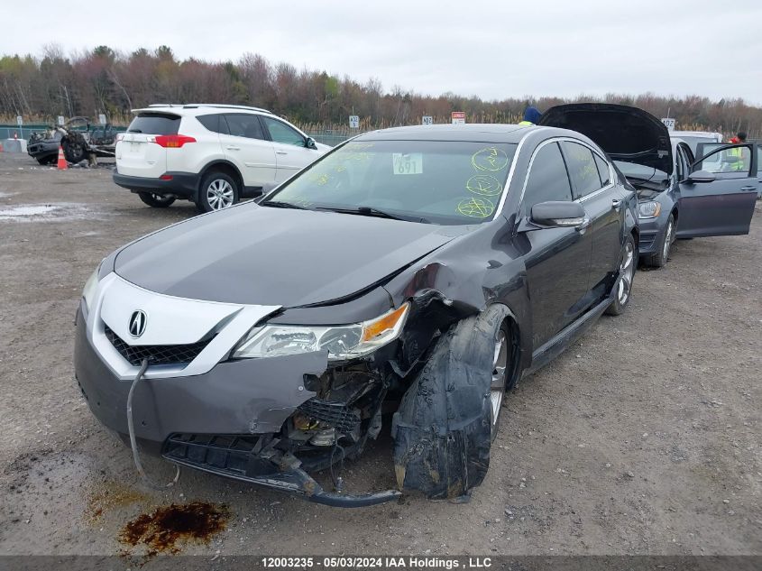 2009 Acura Tl VIN: 19UUA965X9A801176 Lot: 12003235