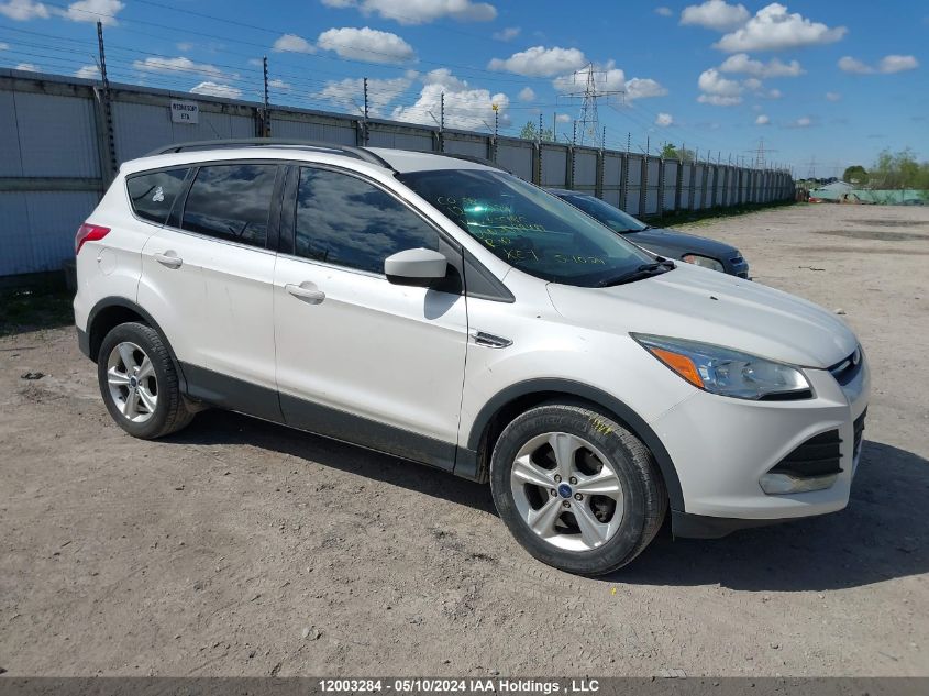 2014 Ford Escape Se VIN: 1FMCU0G99EUD89481 Lot: 12003284