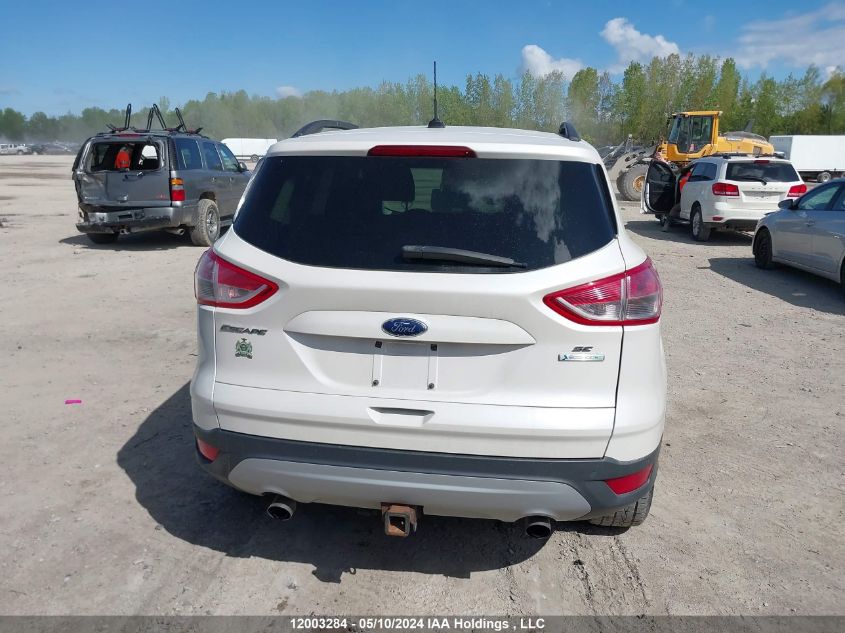 2014 Ford Escape Se VIN: 1FMCU0G99EUD89481 Lot: 12003284