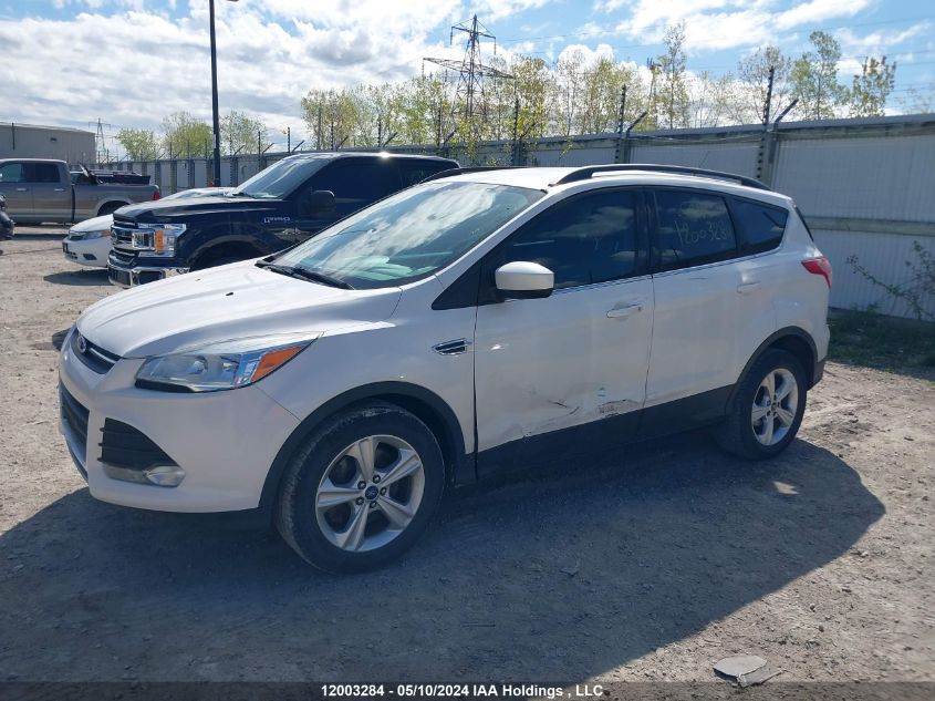 2014 Ford Escape Se VIN: 1FMCU0G99EUD89481 Lot: 12003284