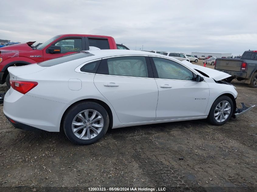 2023 Chevrolet Malibu VIN: 1G1ZD5ST2PF242515 Lot: 12003323