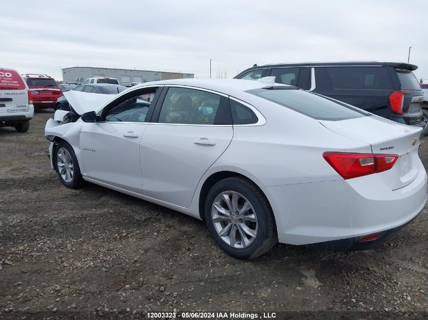 2023 Chevrolet Malibu VIN: 1G1ZD5ST2PF242515 Lot: 12003323