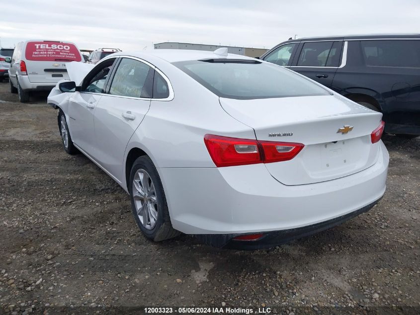 2023 Chevrolet Malibu VIN: 1G1ZD5ST2PF242515 Lot: 12003323