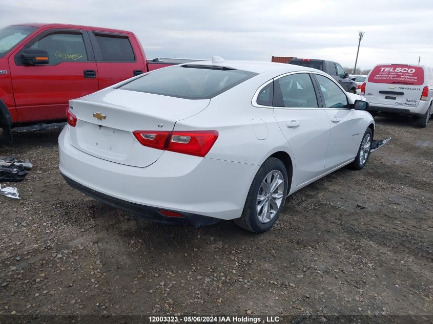 2023 Chevrolet Malibu VIN: 1G1ZD5ST2PF242515 Lot: 12003323