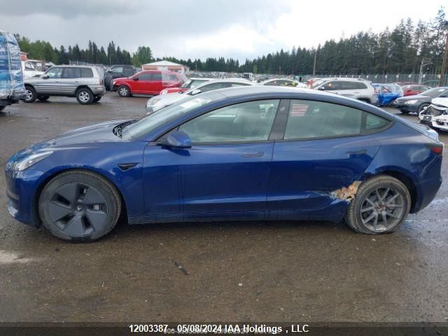 2021 Tesla Model 3 VIN: 5YJ3E1EA0MF929960 Lot: 12003387