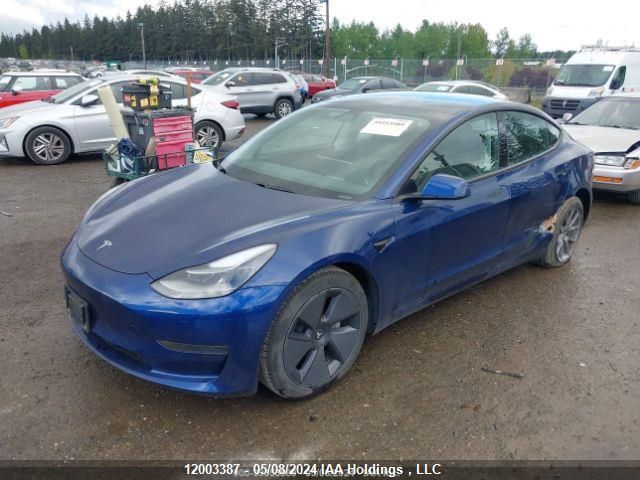 2021 Tesla Model 3 VIN: 5YJ3E1EA0MF929960 Lot: 12003387