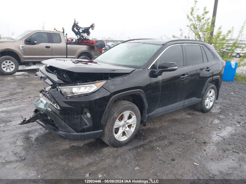 2021 Toyota Rav4 Xle VIN: 2T3R1RFV9MC177242 Lot: 12003446