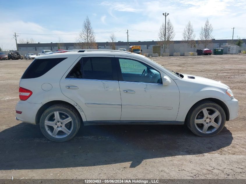 2010 Mercedes-Benz Ml-Class VIN: 4JGBB7CB0AA532509 Lot: 12003453