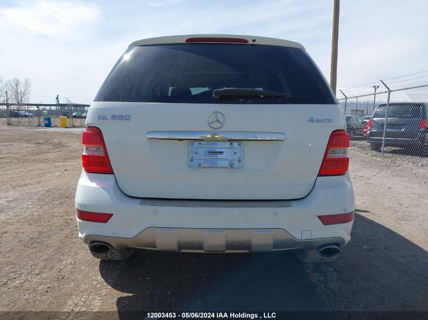 2010 Mercedes-Benz Ml-Class VIN: 4JGBB7CB0AA532509 Lot: 12003453