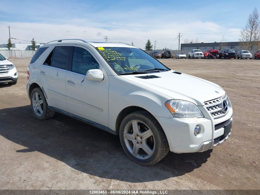 2010 Mercedes-Benz Ml-Class VIN: 4JGBB7CB0AA532509 Lot: 12003453