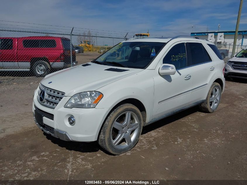 2010 Mercedes-Benz Ml-Class VIN: 4JGBB7CB0AA532509 Lot: 12003453