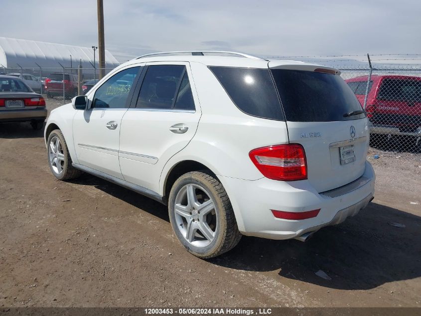 2010 Mercedes-Benz Ml-Class VIN: 4JGBB7CB0AA532509 Lot: 12003453