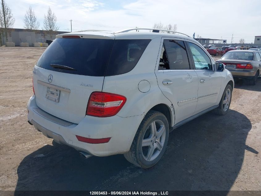 2010 Mercedes-Benz Ml-Class VIN: 4JGBB7CB0AA532509 Lot: 12003453