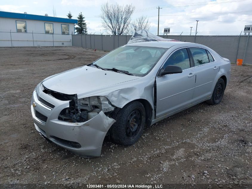 2011 Chevrolet Malibu VIN: 1G1ZB5EU3BF220803 Lot: 12003481