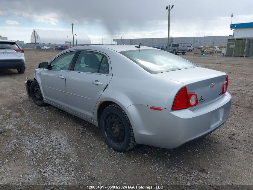 2011 Chevrolet Malibu VIN: 1G1ZB5EU3BF220803 Lot: 12003481