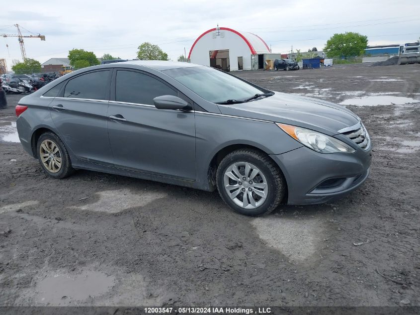 2013 Hyundai Sonata VIN: 5NPEB4AC9DH559023 Lot: 12003547