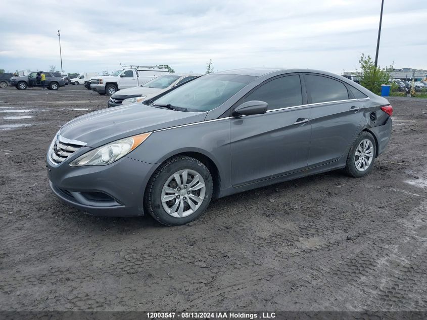 2013 Hyundai Sonata VIN: 5NPEB4AC9DH559023 Lot: 12003547