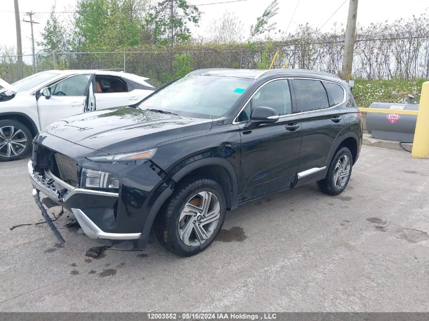 2022 Hyundai Santa Fe Sel VIN: 5NMS3DAJ9NH380042 Lot: 12003552