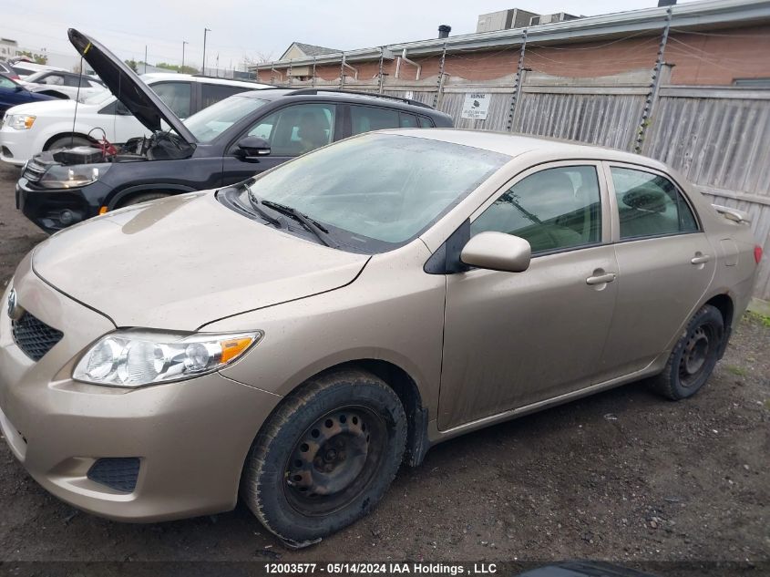 2009 Toyota Corolla VIN: 2T1BU40E59C141312 Lot: 12003577