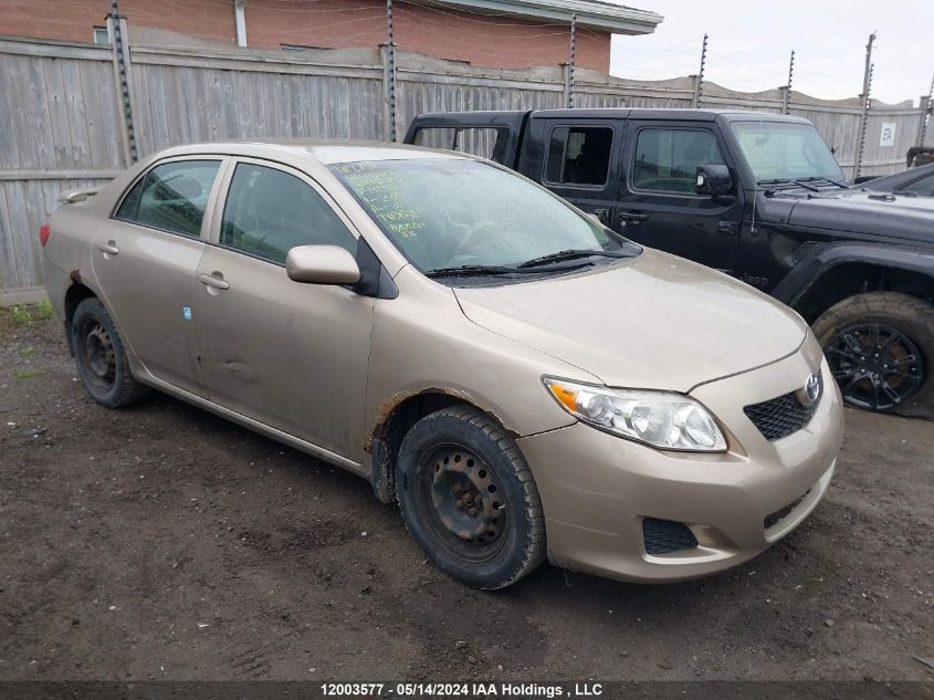 2009 Toyota Corolla VIN: 2T1BU40E59C141312 Lot: 12003577