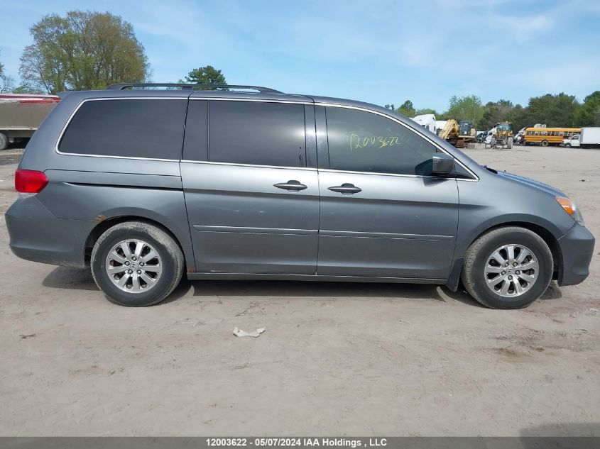 2009 Honda Odyssey VIN: 5FNRL384X9B502181 Lot: 12003622