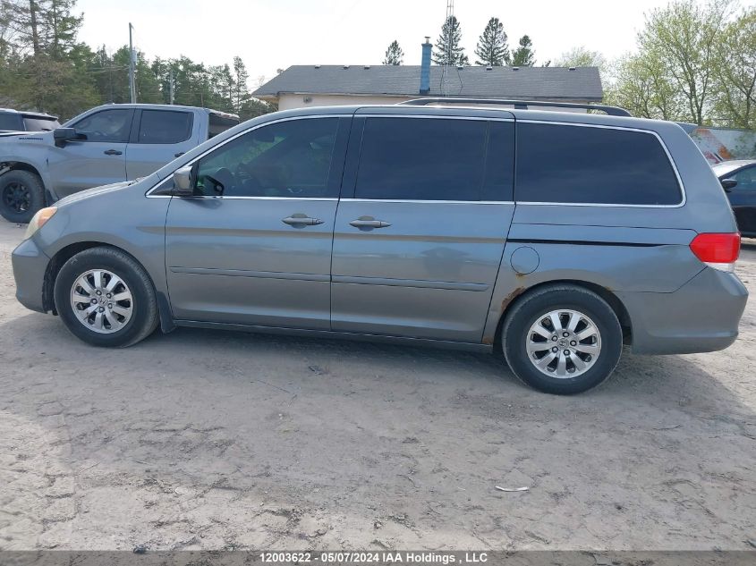 2009 Honda Odyssey VIN: 5FNRL384X9B502181 Lot: 12003622