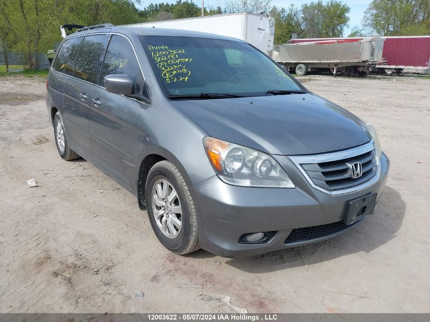 2009 Honda Odyssey VIN: 5FNRL384X9B502181 Lot: 12003622