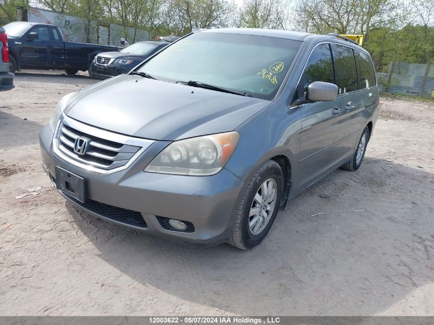 2009 Honda Odyssey VIN: 5FNRL384X9B502181 Lot: 12003622