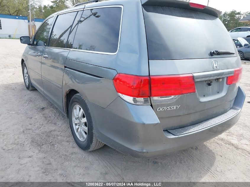 2009 Honda Odyssey VIN: 5FNRL384X9B502181 Lot: 12003622