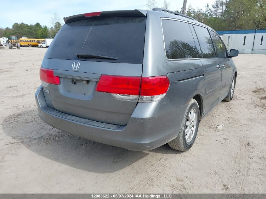 2009 Honda Odyssey VIN: 5FNRL384X9B502181 Lot: 12003622