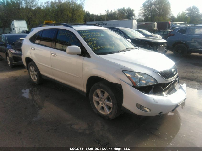 2009 Lexus Rx 350 VIN: 2T2HK31U89C129991 Lot: 12003758