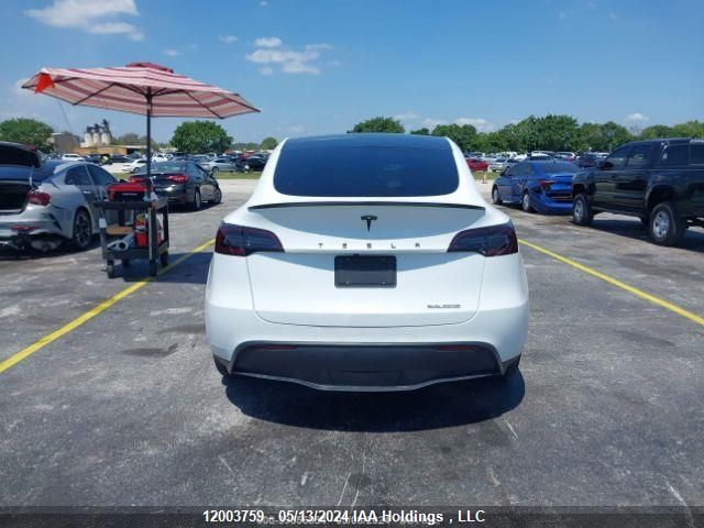 2020 Tesla Model Y VIN: 5YJYGDEE4LF026763 Lot: 12003759