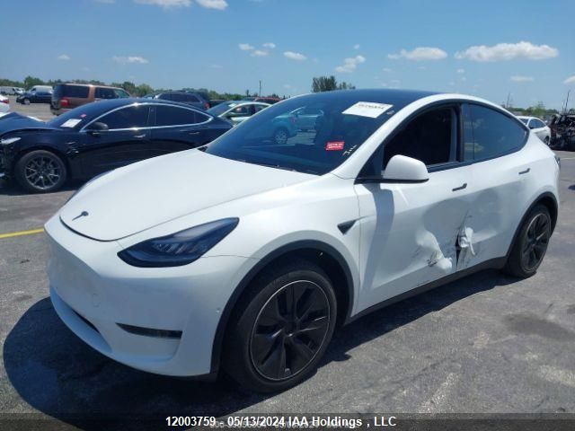 2020 Tesla Model Y VIN: 5YJYGDEE4LF026763 Lot: 12003759