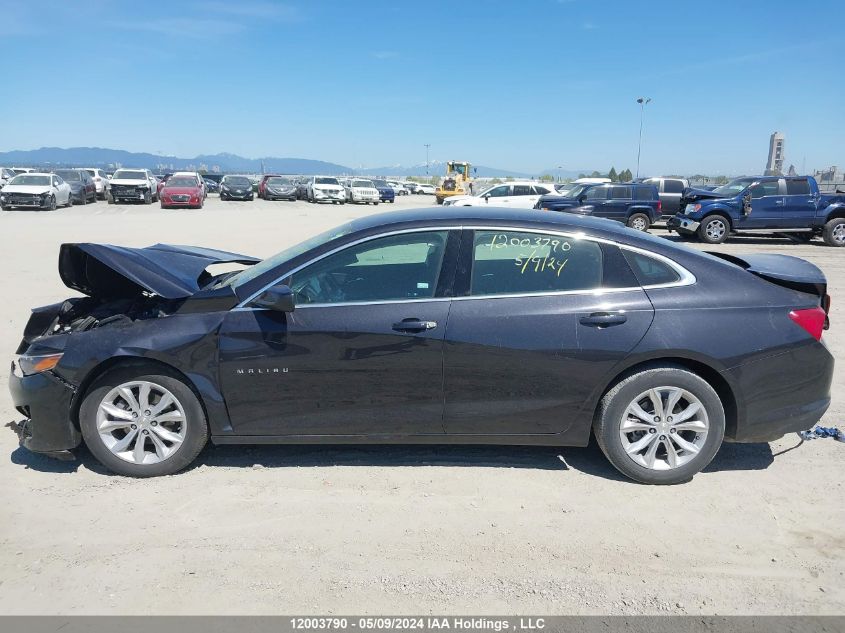 2023 Chevrolet Malibu VIN: 1G1ZD5ST3PF196189 Lot: 12003790