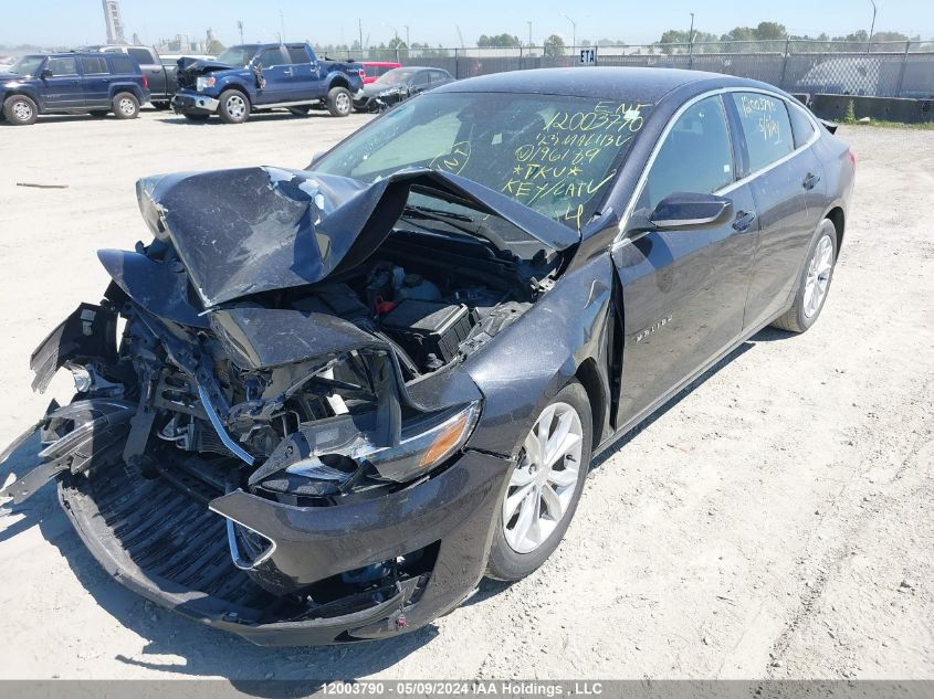 2023 Chevrolet Malibu VIN: 1G1ZD5ST3PF196189 Lot: 12003790