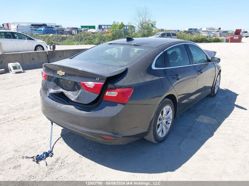 2023 Chevrolet Malibu VIN: 1G1ZD5ST3PF196189 Lot: 12003790