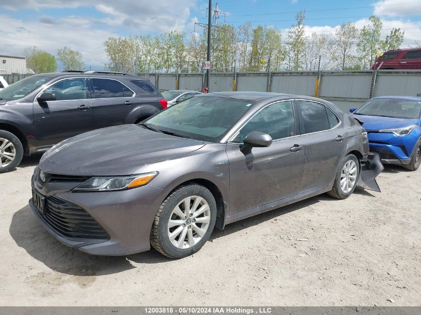 2019 Toyota Camry Hybrid Le/Se/Xle VIN: 4T1B31HK5KU510329 Lot: 12003818