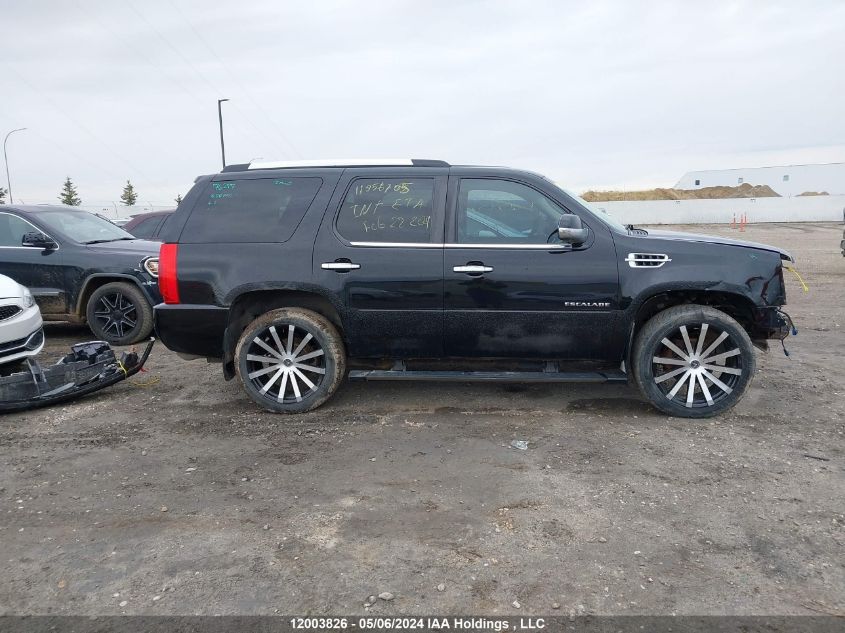 2010 Cadillac Escalade VIN: 1GYUKDEF3AR204878 Lot: 12003826