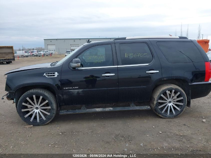 2010 Cadillac Escalade VIN: 1GYUKDEF3AR204878 Lot: 12003826