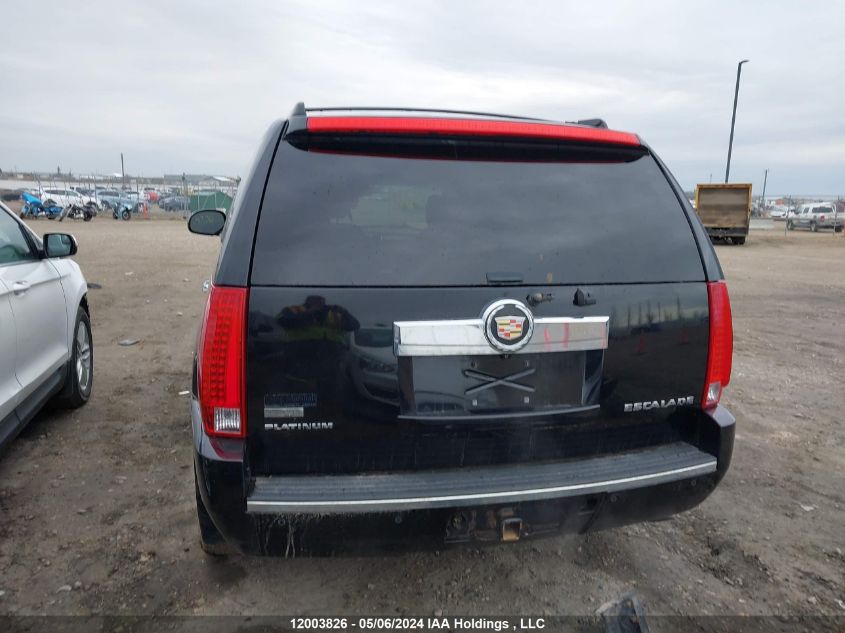 2010 Cadillac Escalade VIN: 1GYUKDEF3AR204878 Lot: 12003826