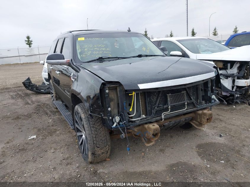 2010 Cadillac Escalade VIN: 1GYUKDEF3AR204878 Lot: 12003826