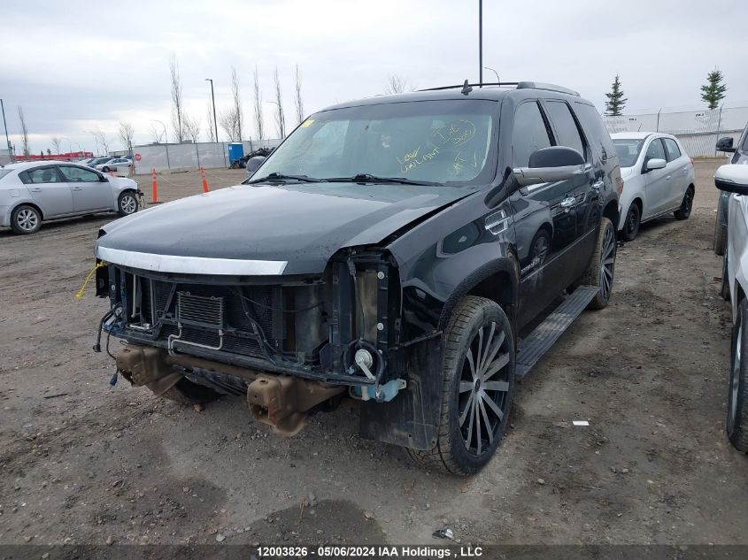 2010 Cadillac Escalade VIN: 1GYUKDEF3AR204878 Lot: 12003826