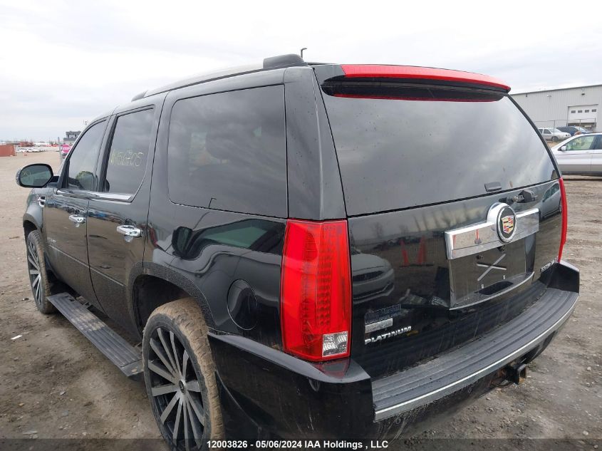 2010 Cadillac Escalade VIN: 1GYUKDEF3AR204878 Lot: 12003826