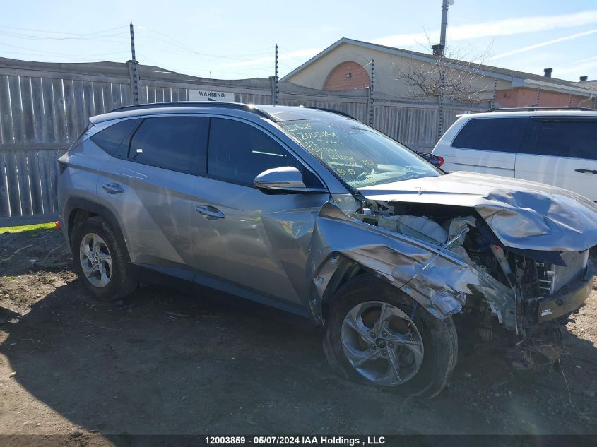 2022 Hyundai Tucson VIN: KM8JCCAE4NU124338 Lot: 12003859