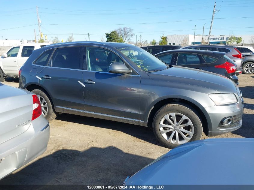 2013 Audi Q5 VIN: WA1LFCFP9DA095296 Lot: 12003861